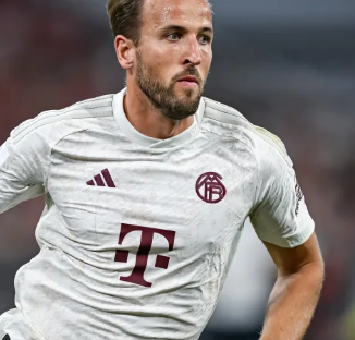 的热爱者和 的热爱者和