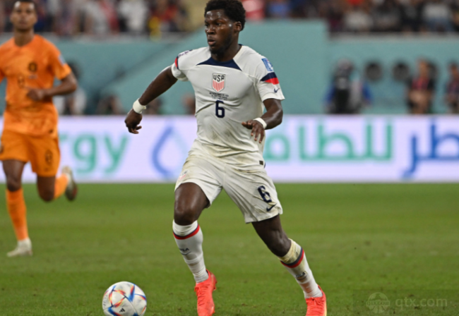 松的现场 松的现场